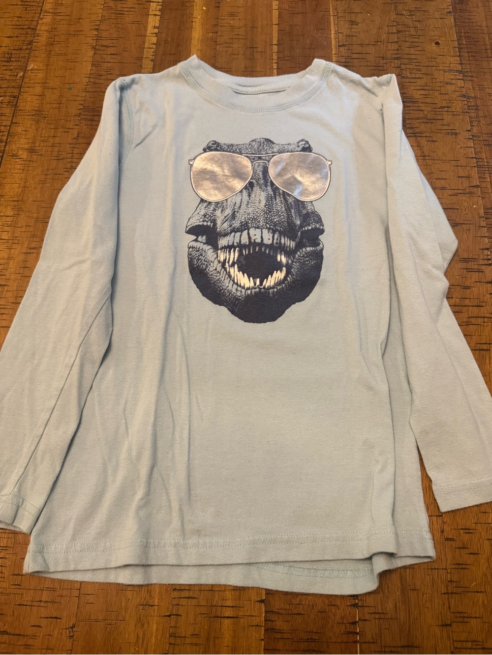 Kids Medium Long-Sleeve Dino Graphic Tee - Light Blue